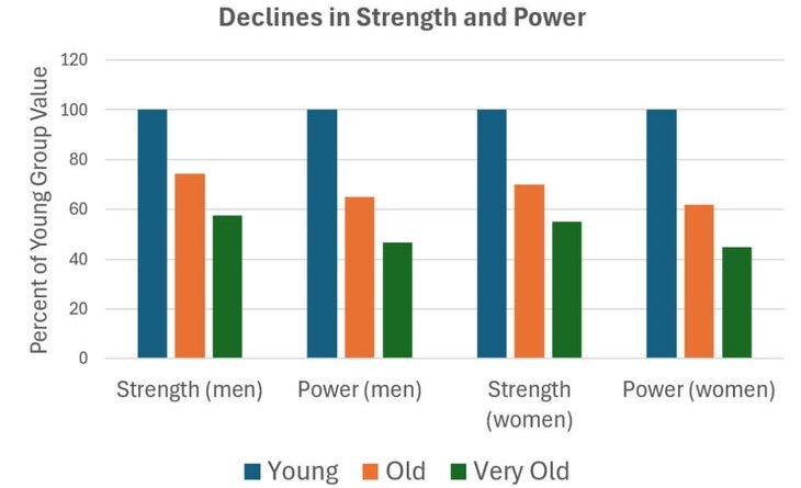 A graph showing the percentage decline in muscle strength among male and female athletes with aging